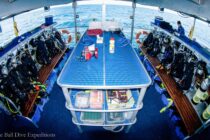 Dive Deck - Spoilsport