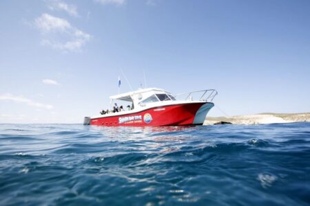 Shark Bay Dive and Marine Safaris Boat