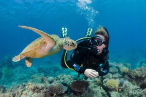 Silverswift_Flynn-Reef_diver-turtle