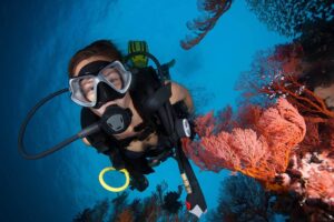 scuba-diving-port-douglas_orig