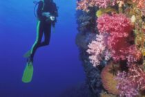 thailand_diver_with_coral_marc_strickland_hr
