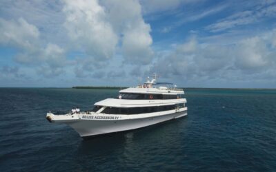 Belize IV Yacht GRAY HULL