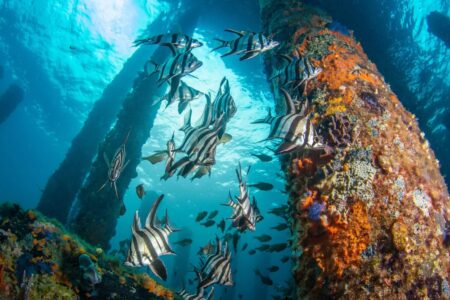 Busselton Jetty