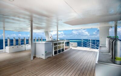 DIVE DECK