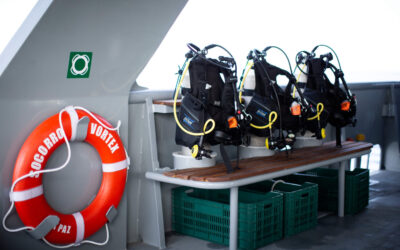 Dive Deck 2