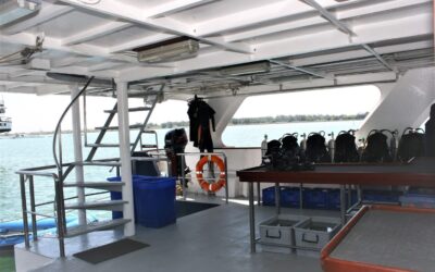 Dive deck 1