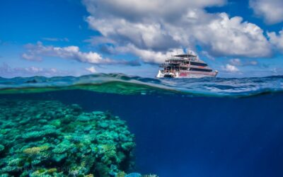 Goggle Gardens - Ribbon Reefs - GBR