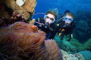 Poseidon_Divers_clownfish