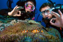 ProDiveCairns_Divers-nemo