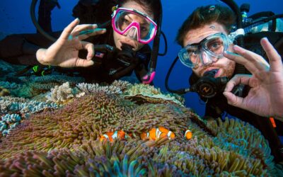 ProDiveCairns_Divers-nemo