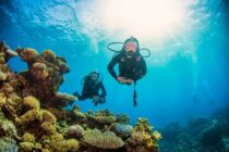 ProDiveCairns_Divers2