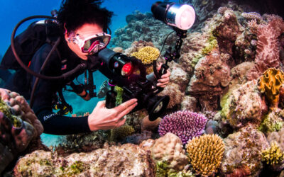 ProDiveCairns_underwater-photograpy