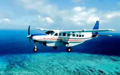 Unique Flight - 180 metres above the dive sites