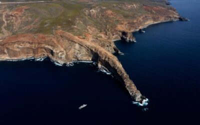 Vortex Aerial in Socorro Island - xavivo