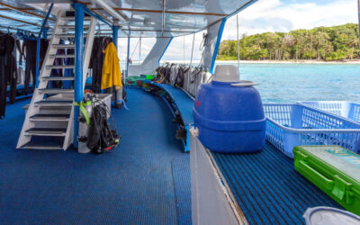 bilikiki Dive Deck credit Tom Demeyer