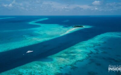 blue_voyager_maldives_simon_lorenz_hr