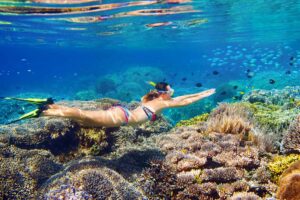 snorkelling-port-douglas-aquaquest_orig