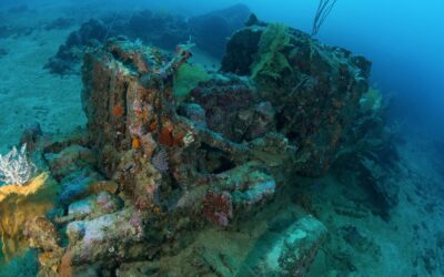 solomons-png-navigator-12-wrecks