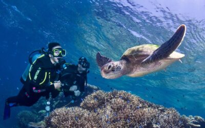 ProDive Cairns SCUBAPROダイブクルーズ